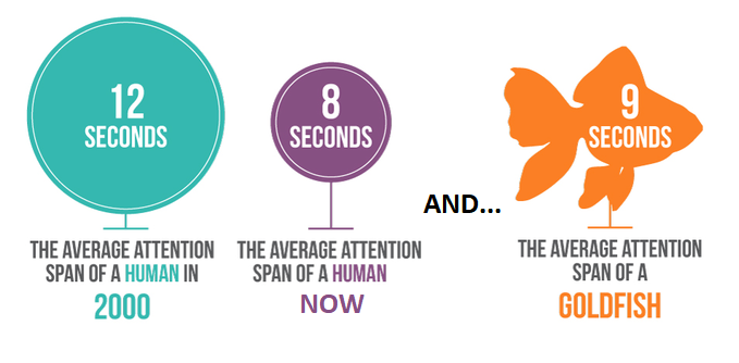 average attention span of a human in 2000 and now versus a fish 