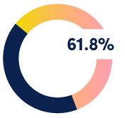 Donut chart with 61.8% highlighted.